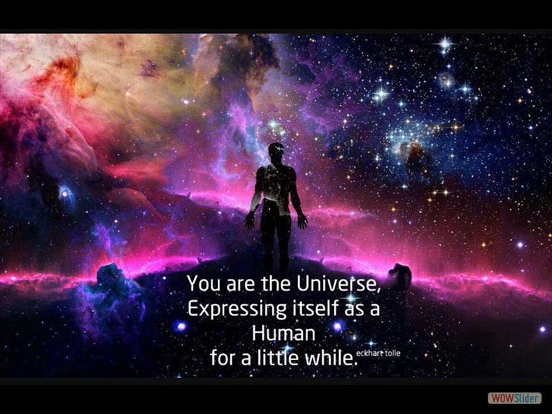 You are the universe expressing itself as a human for a little while