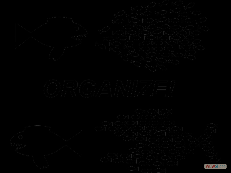 Organize2